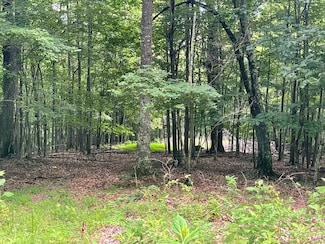 0 Hickory Falls Rd Unit 919268, Blue Ridge, VA 24064