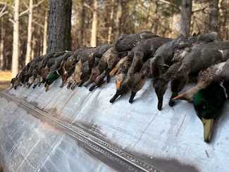 1206 Northcutt Rd, Lonoke, AR 72086