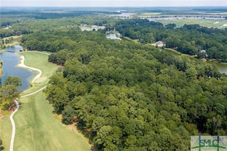 388 Belted Kingfisher Ln, Richmond Hill, GA 31324