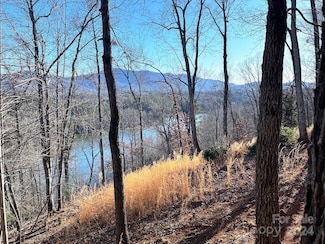 Lot 30 Mountain Pkwy, Mill Spring, NC 28756