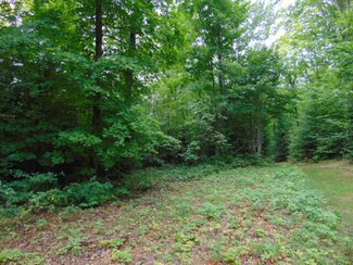 000 Chesbrough Lake Rd, McMillan Township, MI 49868