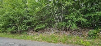 B115 S Sycamore Dr, Penn Forest Township, PA 18229