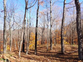 0 Chunks Brook Rd, West Arlingtn, VT 05250