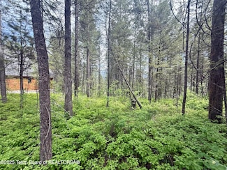 LOT 226 Pine Crest Cir, Alpine, WY 83128
