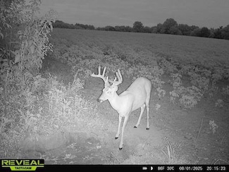 4999 Ben Smith Rd, McKenzie, TN 38201