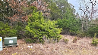 256 Silver Sunset Ln, Kimberling City, MO 65686