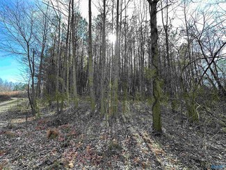 11acres Poplar Springs Rd, Albertville, AL 35951