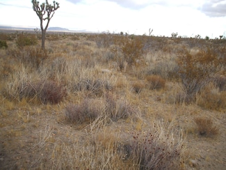 00 SE Bob Gap Rd, Llano, CA 93544