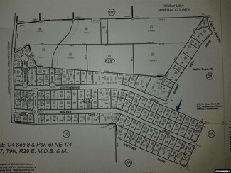 476 W Cottonwood Dr, Walker Lake, NV 89415