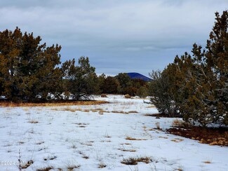 216 E Orchid Dr, Williams, AZ 86046