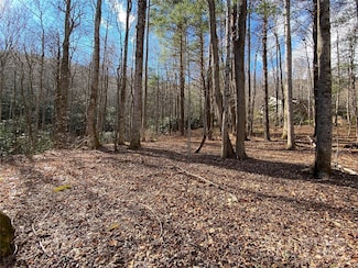 12 Laurel Branch Dr, Black Mountain, NC 28711