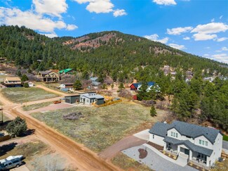 26 Gillia St Unit 7105106093, Palmer Lake, CO 80133