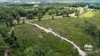 0 County Road 208, Jack, AL 36346