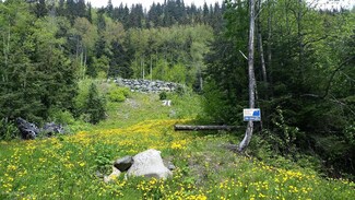 L2 BD Hooter Ln, Haines, AK 99827