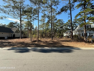 9402 Fallen Pear Ln NE, the Bluffs On the Cape Fear, NC 28451