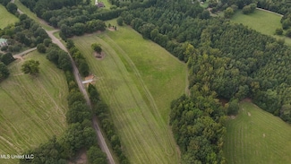 003 Sulphur Springs Rd, Canton, MS 39046