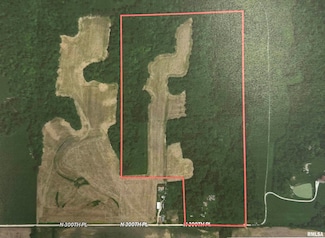 87.12 acres Sec 17 3s 5w, Liberty, IL 62347