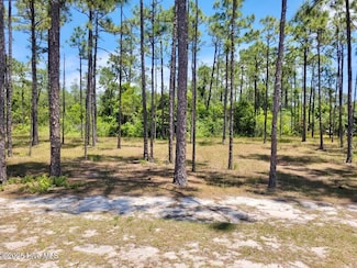 3066 Moss Hammock Wynd, Saint James, NC 28461