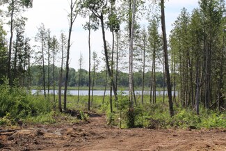 00 McGahn Rd, Portage Township, MI 49836