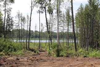 115 acres McGahn Rd, Germfask, MI 49836