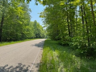 000 Co Rd 98 & Co Rd 479, McMillan, MI 49853