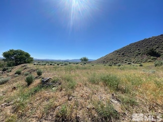 26 Valley View Dr, Smith Valley, NV 89444