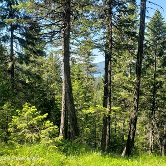 Lot 13 Ridgeview, Coolin, ID 83821