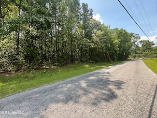 0 County Road 37, Heidelberg, MS 39439