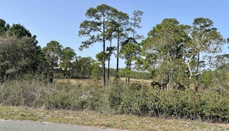 643 & 647 Bald Point Rd, Alligator Point, FL 32346