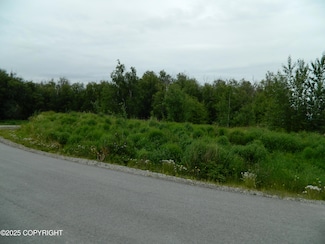 2200 N Hemmer Rd, Palmer, AK 99645