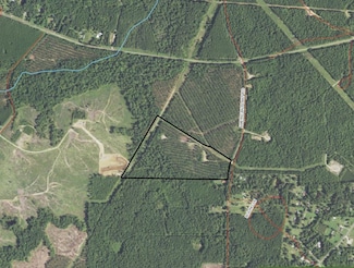 000 Fox Hunting Rd, Waskom, TX 75692