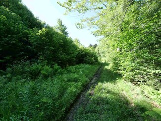 0 Patch Unit 4702364, Morristown, VT 05661