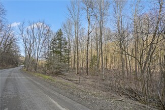 L32.06 Eggleston Hill Rd, Middlefield, NY 13326