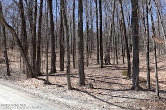0000 Shady Beach Dr, Northfield Township, MI 48189