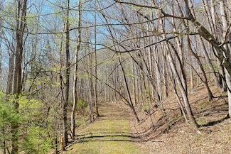 1,2 & 3 Top Drop Ln, Sylva, NC 28779