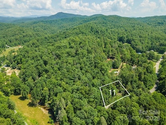 11 Roy Ln, Black Mountain, NC 28711