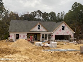 747 Pigeon Roost Rd, Coldwater, MS 38618