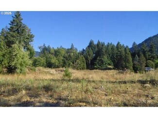 48382 Roaring Rapids Way, Oakridge, OR 97463