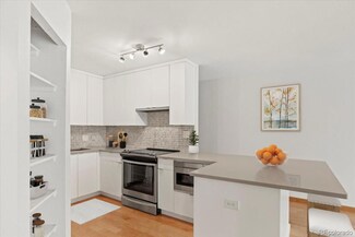550 E 12th Ave Unit 209, Denver, CO 80203