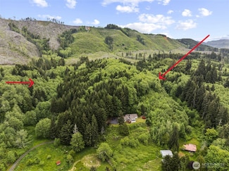 0 XXX Washington 4, Skamokawa Valley, WA 98647
