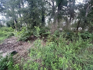 17230 Ravenwood Dr, Flint, TX 75762