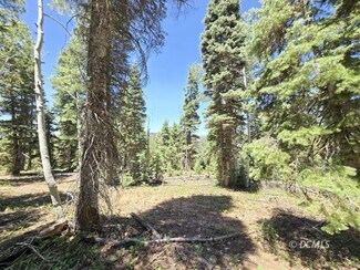 845 W Big Horn Cir, Duck Creek Village, UT 84762