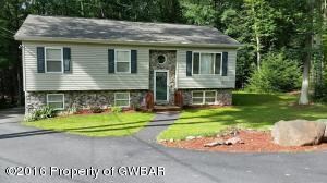 213 Buck Ridge Dr, Drums, PA 18222