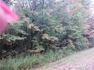0 County Route 48 Unit S279756, Altmar, NY 13302