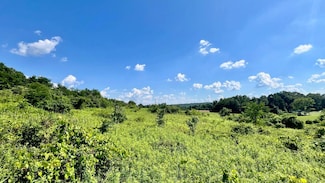 9755 F B Eye Rd, Meigs Township, OH 43720