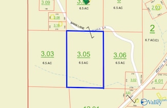 6.5 Acres Bama Ln, Blountsville, AL 35031