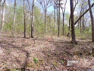 4.00 Creekview Dr, Rainbow City, AL 35906