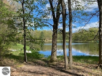 3474 Lost Lake Rd, Excelsior Township, MI 49646