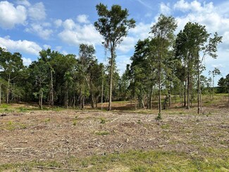 000 Goodluck Rd, Petal, MS 39465