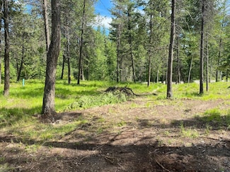 174 Reservoir Rd, Whitefish, MT 59937